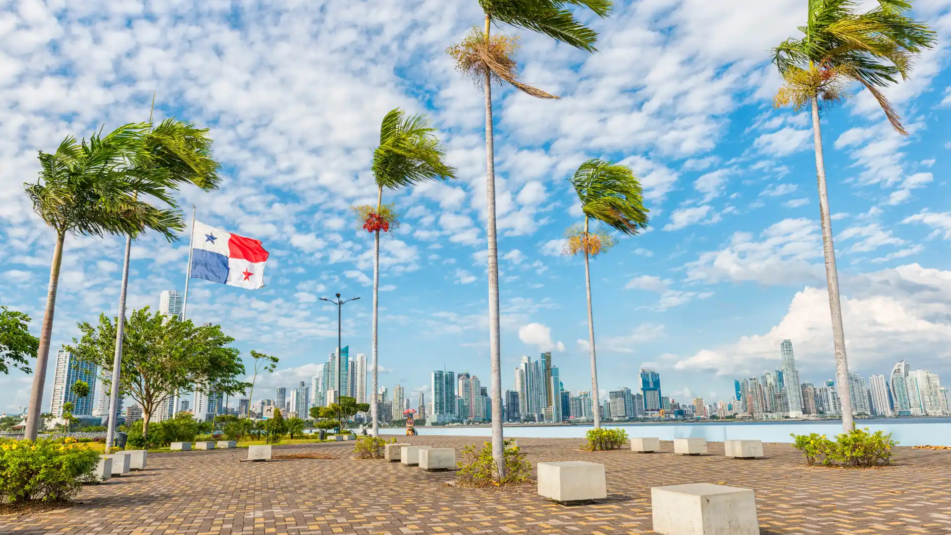 Malecón de Ciudad de Panamá con palmeras, la bandera panameña y los rascacielos al fondo